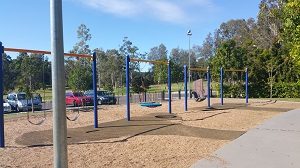 Variety of swings at All Abilities Playground